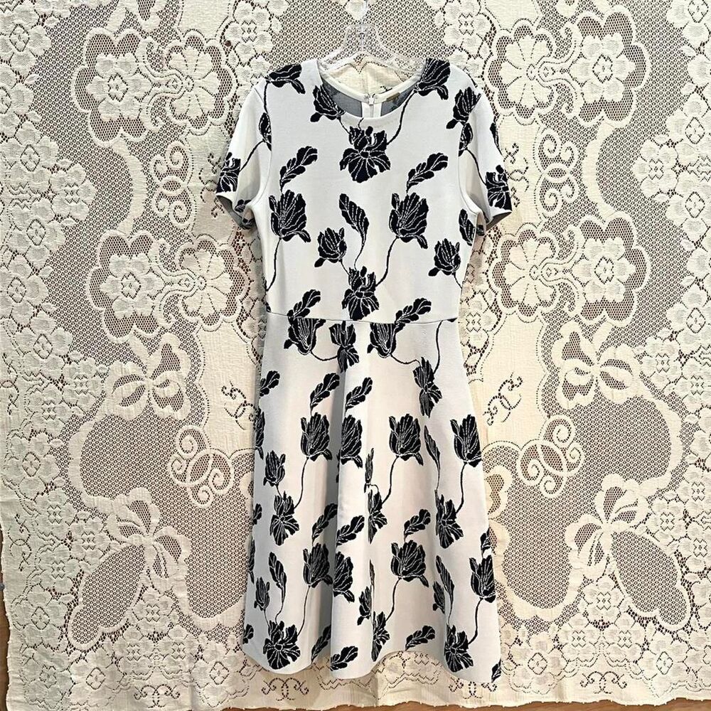 Adam-lippes Women's Knit Floral Jacquard A-line White and Black Dress